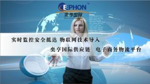 上海空運私人物品機場進出口報關指南及專業代理服務解析